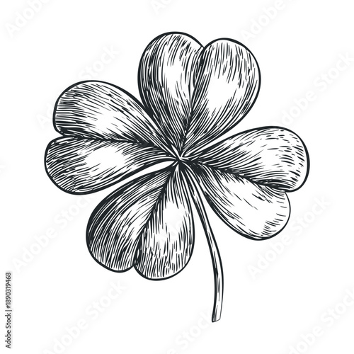 Four-leaf clover hand drawn sketch style illustration representing good luck, fortune, and the spirit of St. Patrick's Day with a vintage engraved aesthetic.