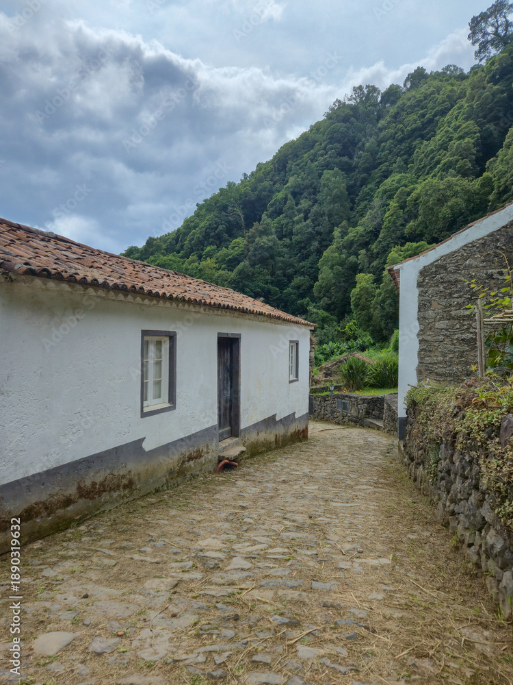 Fototapeta premium Abandoned Village of Sanguinho Hidden in the Azores
