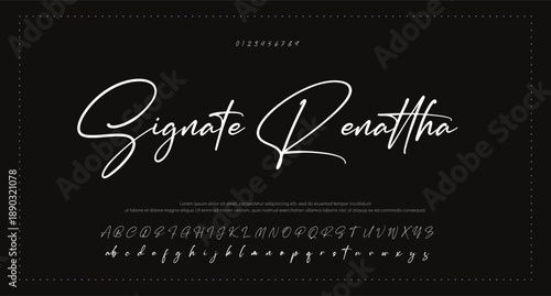 Elegant Script Font Alphabet Typography 