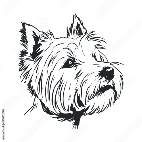 Cute shaggy terrier dog head illustration in a stylized black and white sketch art style, capturing the charming and playful essence of the breed.