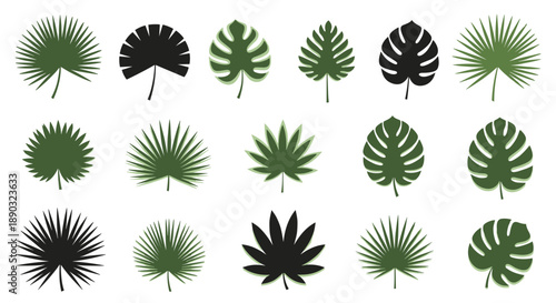 Tropical leaf silhouettes collection featuring various types of palm and monstera leaves in green and black colors for decor.