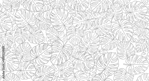 Intricate line art pattern of monstera deliciosa tropical leaves on a white background for a botanical and minimalist aesthetic.