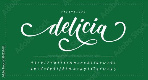 Signature Elegant Branding Typeface. Handwritten Script Editable Text Effect Template . vector illustration  