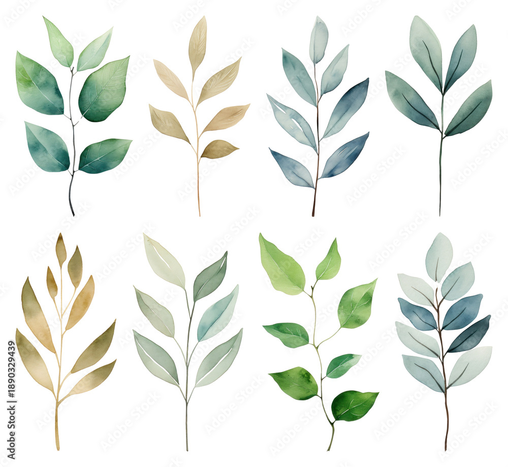 Fototapeta premium PNG Watercolor botanical leaves element set on transparent background