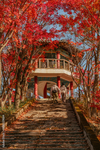 Pavilion at Naejangsan National Park, South Korea