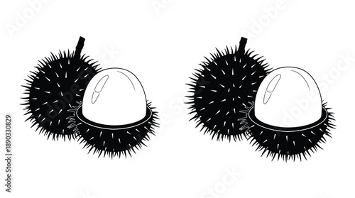 Two durian fruits depicted in a striking black silhouette