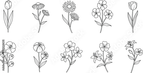 Black and white line drawings of ten different types of flowers including tulips daisies poppies and lilies