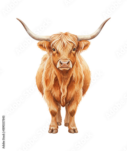 Shaggy brown Highland cow standing calmly facing forward with impressive long horns watercolor style illustration