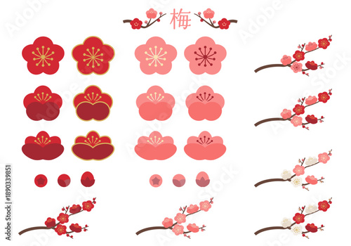 梅の花素材セット　紅梅