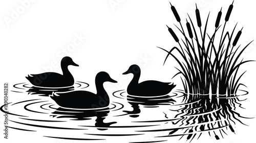 Duck silhouettes swimming on calm pond with reeds and water reflections representing wildlife nature habitat, tranquility, wetland ecosystem, and outdoor scenery isolated on white background