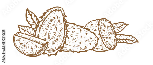 Soursop guanabana composition with whole and half fruits, slices and leaves. Tropical fruit in vintage linear style. Ink drawn vector illustration isolated on white.