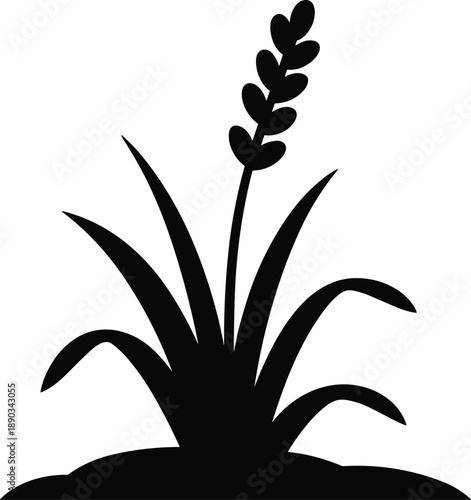 Minimalist silhouette of flowering grass plant growing from soil, botanical nature icon isolated on white background for design use
