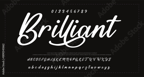 Signature Font Uppercase Lowercase And Number. Script Font Calligraphy Logotype elegant Font Type Font lettering handwritten. vector illustration 