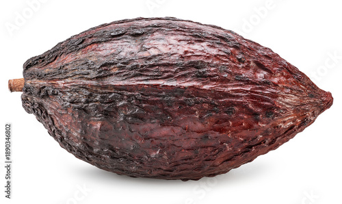 Ripe brown cocoa pod isolated on a white background. Maximum depth of field. Clipping path.