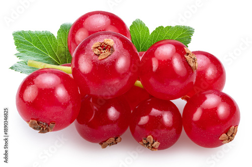 Twig of red currant berries with green currant leaf isolated on a white background. Stacking photo with maximum sharpness and detail.