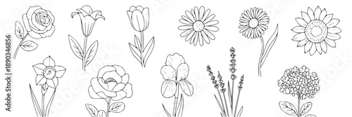 White paper background displaying ten small black line-art drawings, each inside a minimalist frame, arranged side by side in a neat grid.