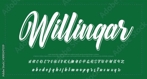 signature Font Calligraphy Logotype Script Brush Font Type Font lettering handwritten 