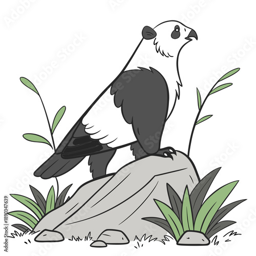 Bird perched on rock
