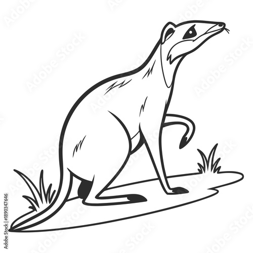 Curious badger in grassland