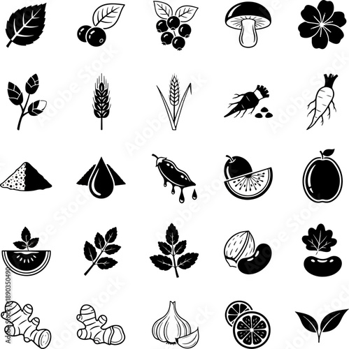 Collection of Assorted Food and Plant Icons Including Fruits Vegetables Grains and Leaves Vector Art