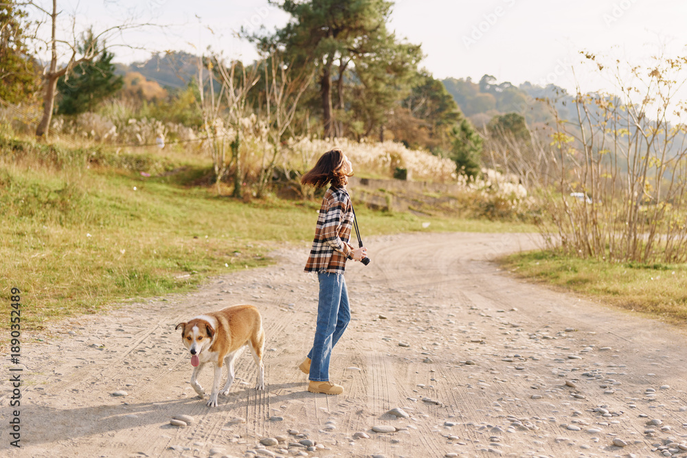 Fototapeta premium Woman walking a dog along a gravel path in a sunny park, trees in distance, casual outdoor activity, companionship and nature exploration and fresh air