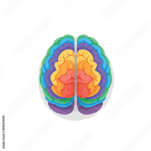 A vibrant, multicolored illustration of a human brain divided into segments, symbolizing different functions and colorful thoughts