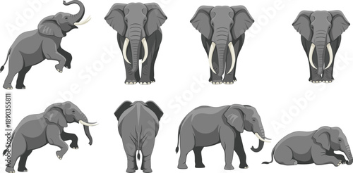 African elephant poses collection showing front side back and resting wildlife vector illustration set