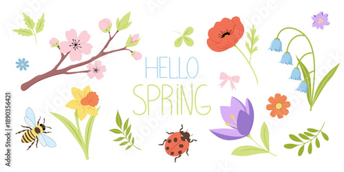 Cute vector spring clipart with flowers. Set includes cherry blossom branch, poppy, daffodil, crocus, bluebells, small flowers, green leaves, bee, ladybug and a ribbon bow