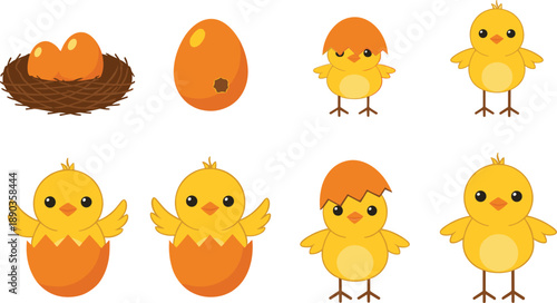 Cute baby chick hatching from egg vector set with newborn chicken cartoon farm animal illustration