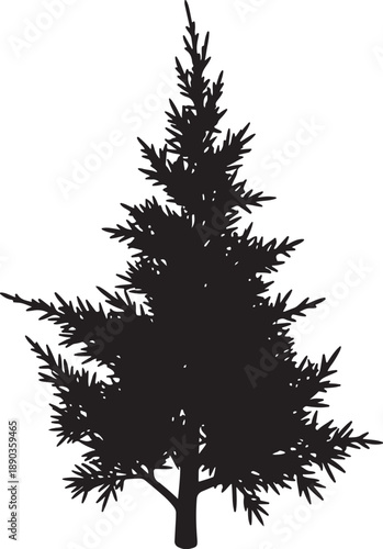 Black pine tree silhouette isolated on white background evergreen coniferous forest nature element for outdoor landscape design minimalist spruce fir botanical vector illustration symbol clip art