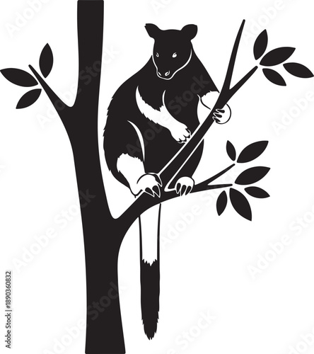 Black and white of a tree kangaroo on a branch animal marsupial wildlife
