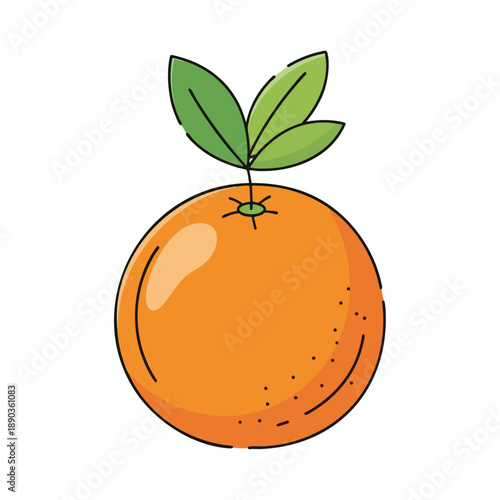 Vibrant Orange Fruit Illustration