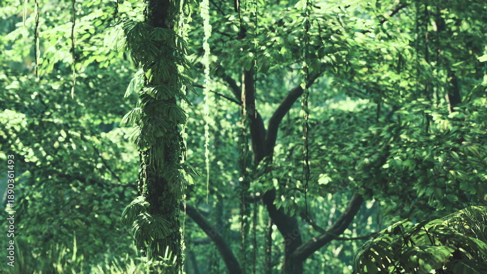 Fototapeta premium Sunlight filters through the dense canopy, illuminating a tranquil forest scene. Exotic plants and towering trees create a serene atmosphere, inviting exploration and reflection.