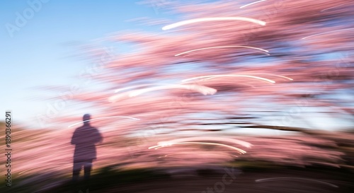 Dreamy ICM Photo of Solitary Figure under Streaking Pink Sakura Flowers and Blue Sky