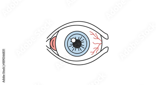 Close-up illustration of a human eye, showcasing its detailed structure with iris, pupil, and blood vessels, presented on a white background