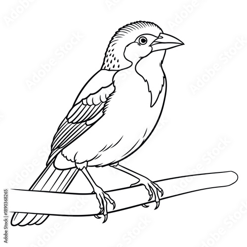 Clear indicator image stating the availability of a scalable vector file for design use