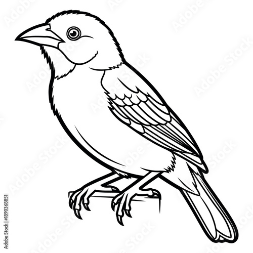 An abstract representation of a vector file format for graphic design and digital art