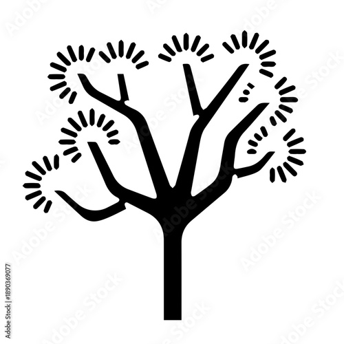 Joshua Tree Silhouette