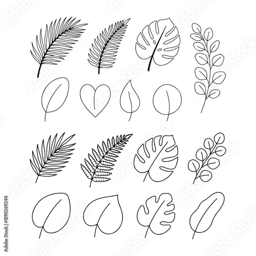 Minimalist tropical leaf line art collection featuring monstera fern and palm fronds.