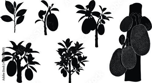 Jackfruit tree silhouettes, tropical fruit growth, botanical illustration, agricultural stages, tree development, nature art, fruit-bearing tree, foliage design