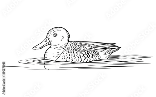 Essential vector file for graphic design projects and scalable artwork needs