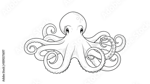 Detailed line art illustration of an octopus with long curling tentacles and textured skin for marine life and nautical themed designs.