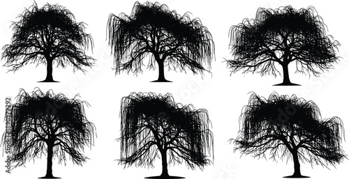 Willow tree silhouette set, drooping branch forms, black illustration, botanical design, nature concept, expressive foliage, landscape icon pack