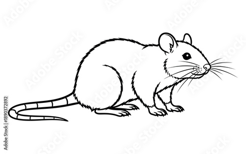 Placeholder image indicating a vector file for design, graphic, and editable asset purposes