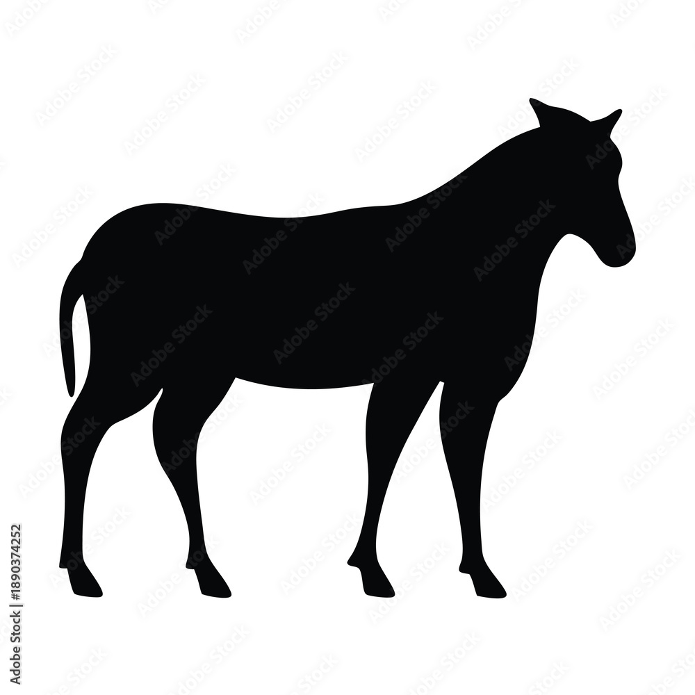 Obraz premium Silhouette image showcasing the graceful lines and form of a horse