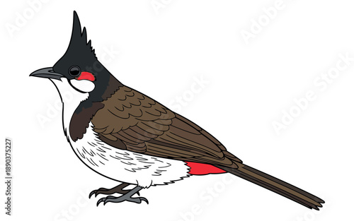 A clear and simple representation of a vector file graphic format on a clean white background