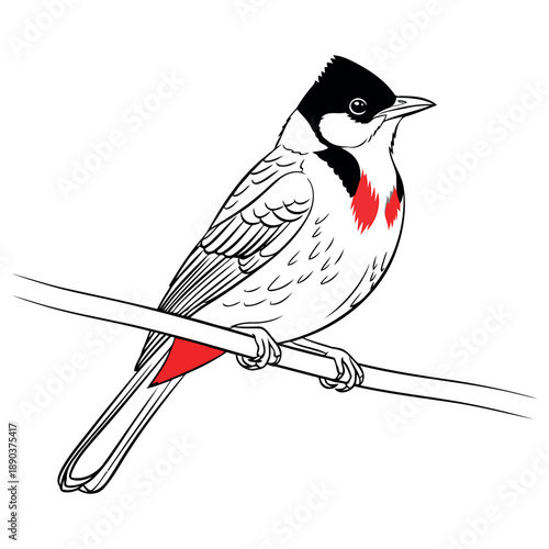 Placeholder graphic indicating a digital vector file format on a white background