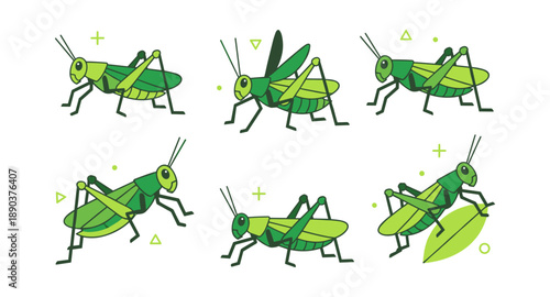 Green grasshopper insect line art vector icon set