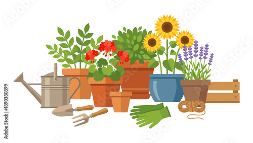 Gardening hobby with potted vibrant flowers and tools