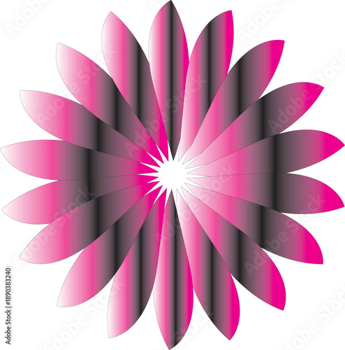 pink lotus flower isolated on white background